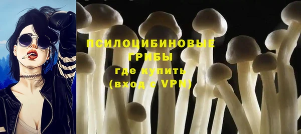 прущая мука Кулебаки