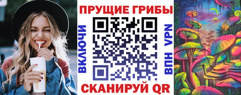 Купить где  Кубинка  Псилоцибиновые грибы ЛСД 